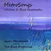 Jason Mendelson - Metrosongs, Vol. 5: Blue Chromatic